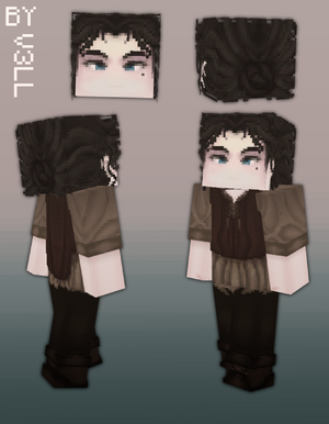 s13.png