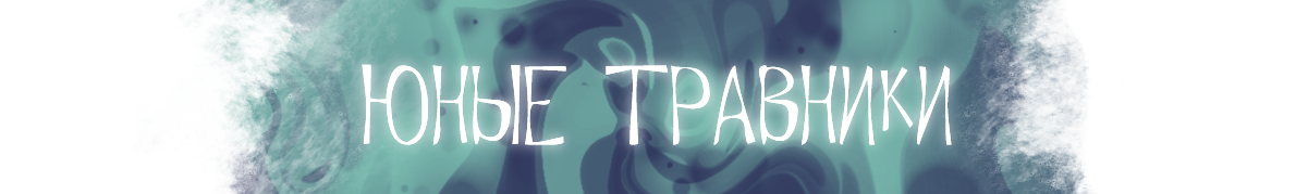 trav.png