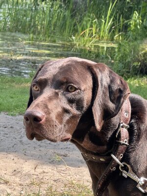 IMG_0487.jpeg