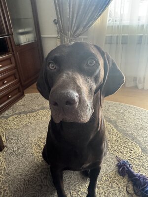IMG_0001.jpeg
