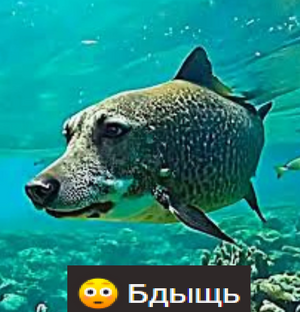 1787268898092.png