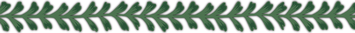 STROKAKA.png