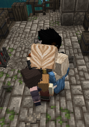 13.png