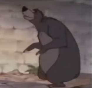 1788033496483.png
