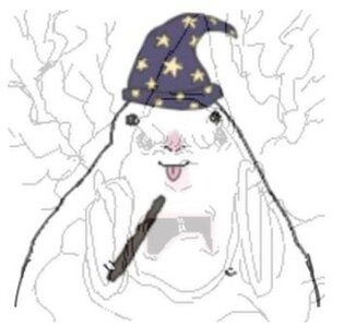 hamster _P.jpg