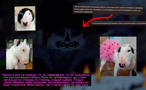 1788343700089.png