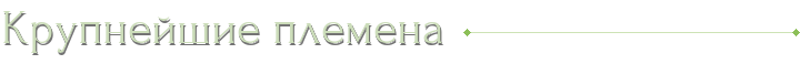 Крупнейшие племена