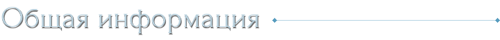Общая информация