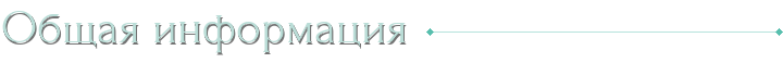 Общая информация