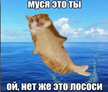 1789291221220.png