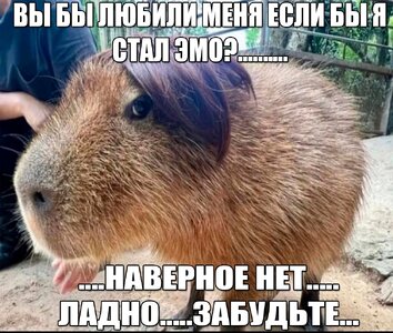 q859MdJ89lVsqu0KET-PisdncH-8QAwN0MKmPlmVJPGcoAc6EM655SbJw2Pc0h_i-HsFBMDQkWkHd5eu_-qD0s3e.jpg