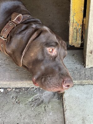 IMG_0599.jpeg