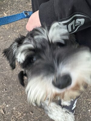 IMG_0021.jpeg