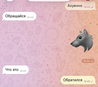 изображение_2026-09-24_031209854.png