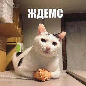 1790238171570.png