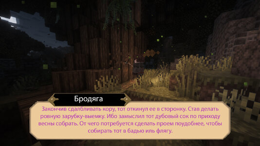 СС2.jpg