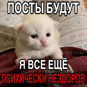 IMG_0855.jpeg IMG_0855.jpeg