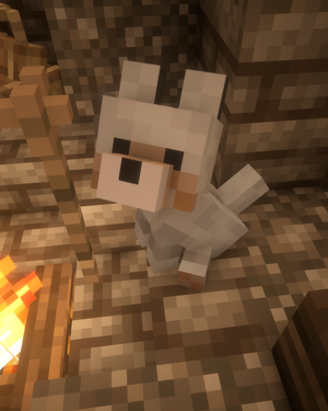 Без имени-5.png