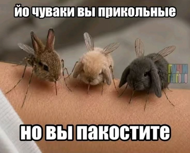 1791124257535.png