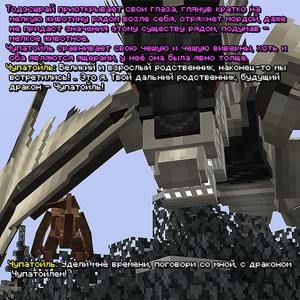 viverna1.png