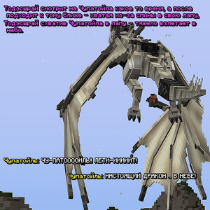 viverna8.png