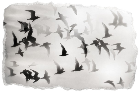 изображение-removebg-preview(26).png