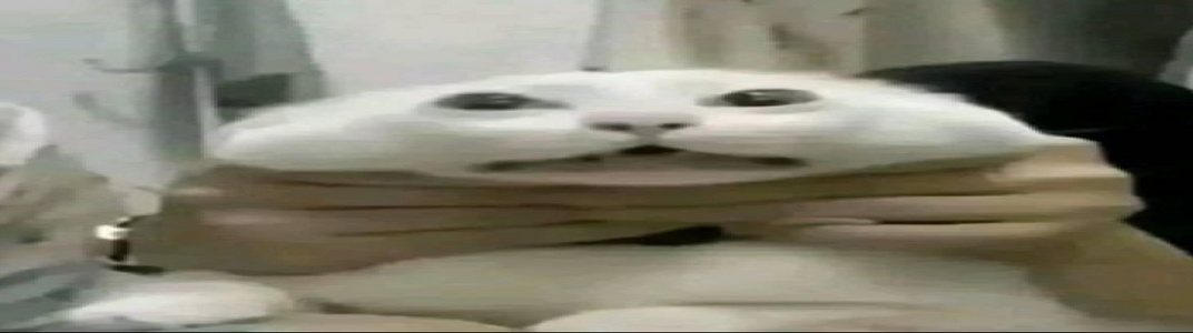 1791645182228.png