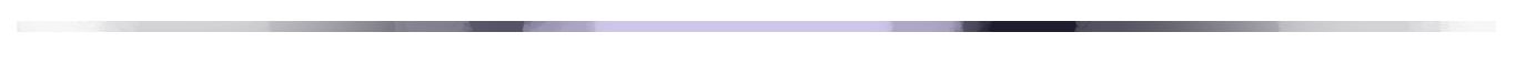 ss31.png