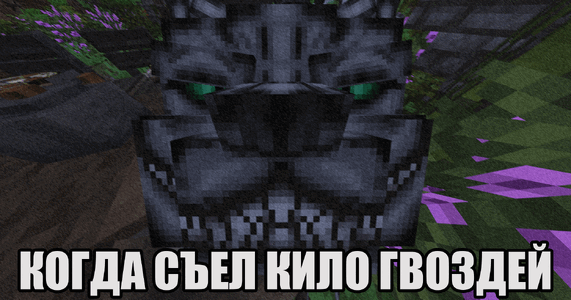82699409994a5458.gif