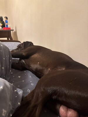 camphoto_1483920592.jpeg