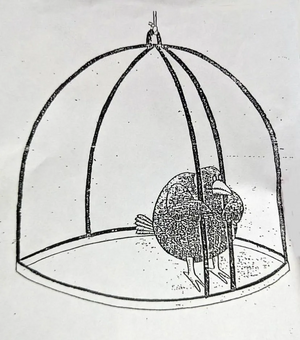 1791889312271.png