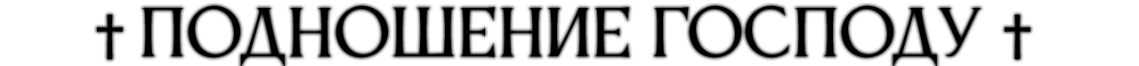 0.png 0.png