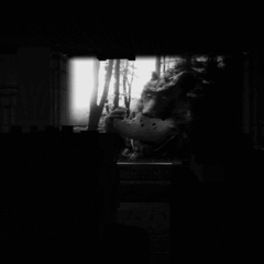 Спектакль (1)_чб.gif Спектакль (1)_чб.gif