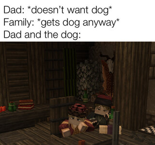 memememe.jpg