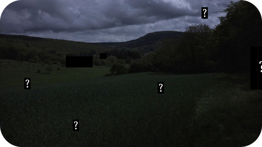Field-round-corners.png