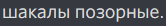 1667483192539.png 1667483192539.png