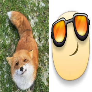 1793207164682.png