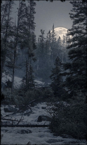 4466302e5d9e4b7e43aaffb78d527ff9 (1).png
