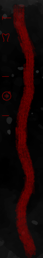 Ч.Т.Д.png