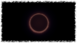 10_.png