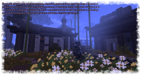 11.png