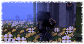 13.png