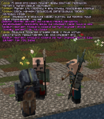 ss14.png