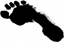 Footprints_PNG16.png Footprints_PNG16.png