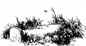 238664.png 238664.png