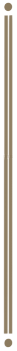 борт_в.png борт_в.png