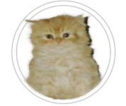 1673963790368.png