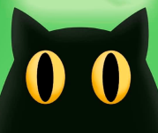 Кот Зырк.png