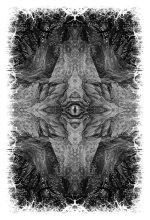 25.png