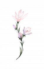 59A269E8-DF97-416C-BA36-2193D1F7DD25.png